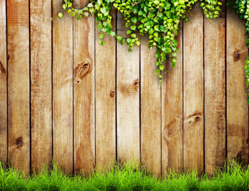 Why You Should Consider Putting Fencing in Your Yard
