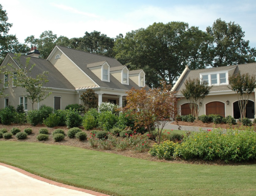 Landscaping Tips to Complete Your New Home